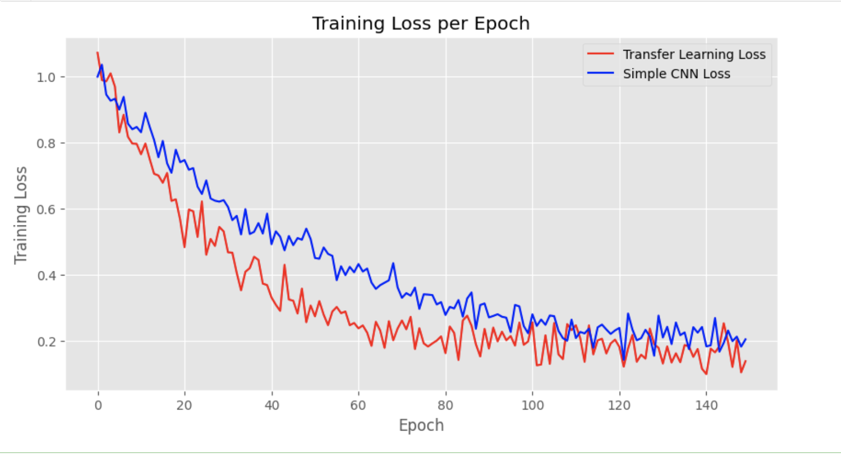 Training Loss for Transfer Learning