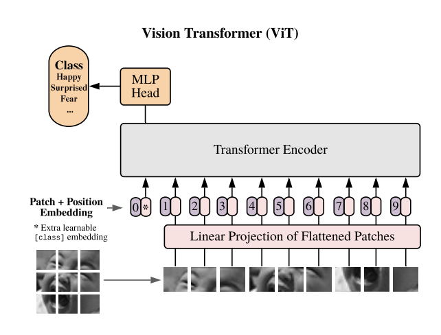 Vision Transformer Architecture